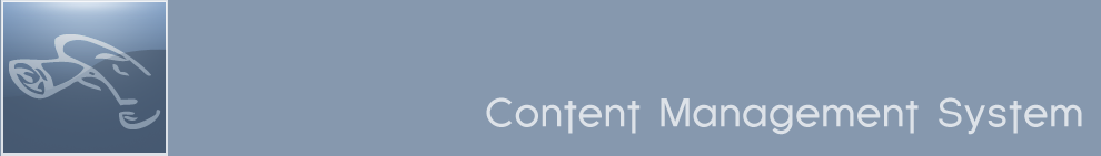 TTLG Content Management System